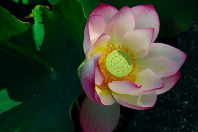 _DSC4260_resize.jpg