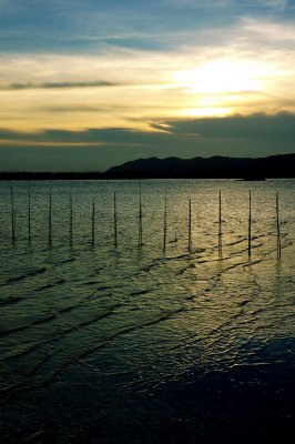 _DSC4344_resize.jpg