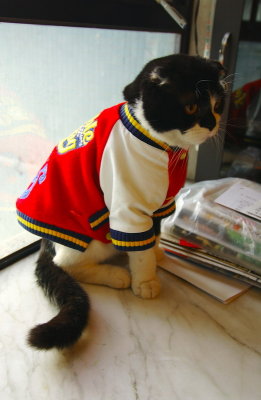 DSC_4816_resize.jpg