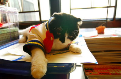 DSC_4833_resize.jpg