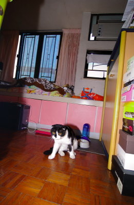 DSC_4852_resize.jpg