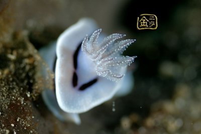 DSC_6182s.jpg
