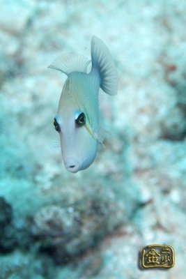 DSC_6244s.jpg