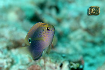 DSC_6256s.jpg