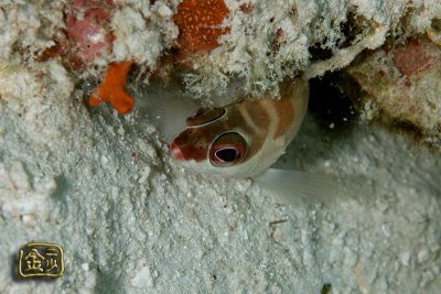 DSC_6408s.jpg