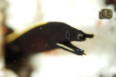 DSC_6527s.jpg