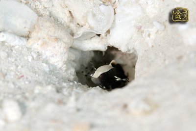 DSC_7228s.jpg