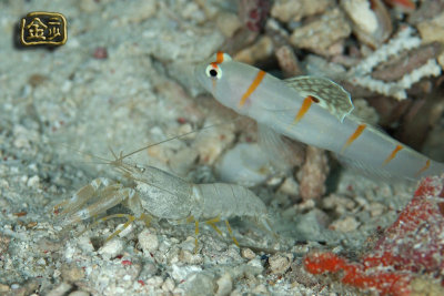 DSC_7355s.jpg