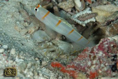 DSC_7356s.jpg