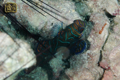 DSC_7411s.jpg