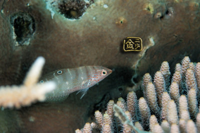 DSC_7470s.jpg