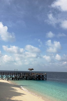 DSC_7508.jpg
