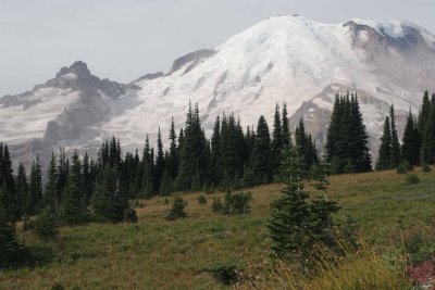 Mt Rainier