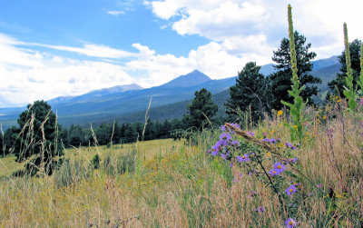 Hermit Lake Road, Westcliffe