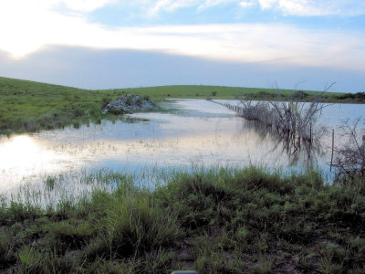 Flooded Fenceline