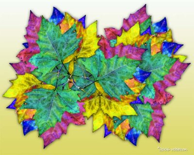 A Colorful Pattern