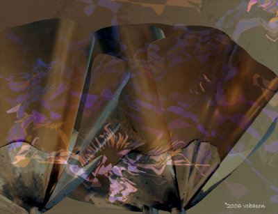 Fan Unfurled