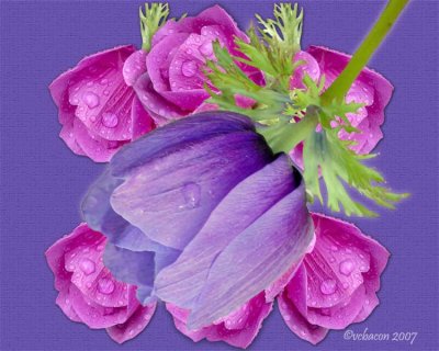 The First Day of Spring