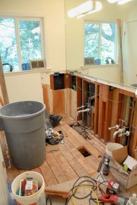 Remodeling the bath