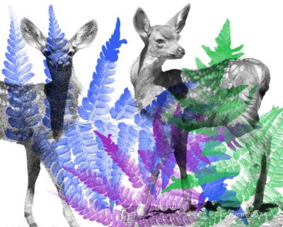 Brush Art