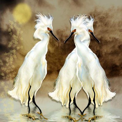 Snown Egret Watch