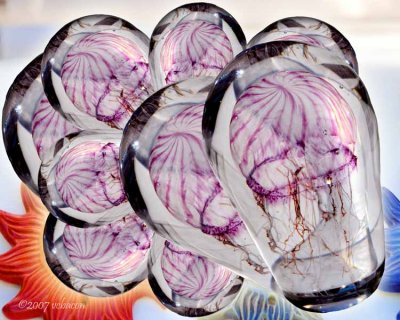 Herding Jellies in a Jar