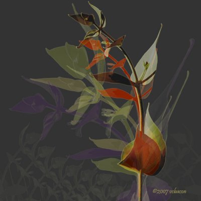 Branches and Stems