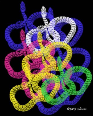 Snake Pit