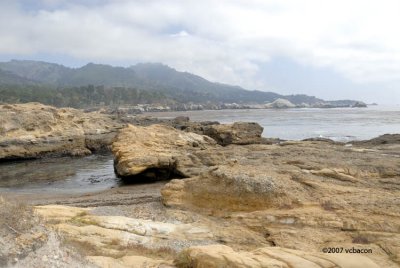 Point Lobos coast