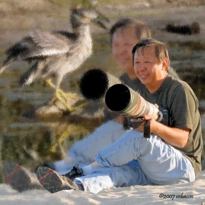 Birder's Delight
