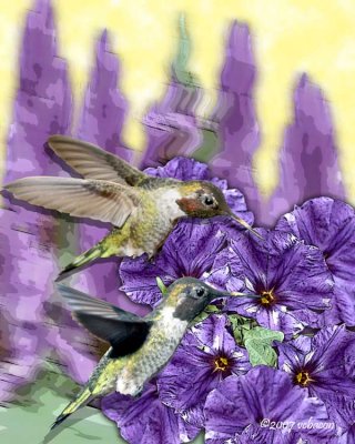Feeding Frenzy
