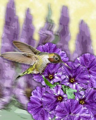 Feeding Frenzy #3