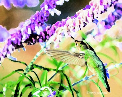 Painted Hummer