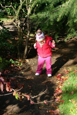 Risn in the woods