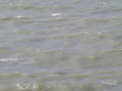 Cwmtudu 2007 032