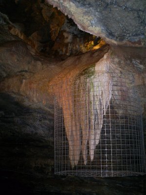 Dan-yr-Ogof 2007 020