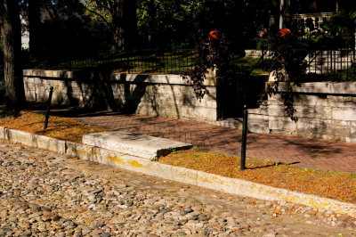 IMGP8068.jpg