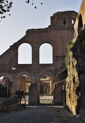 Forum