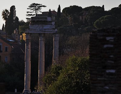 Forum