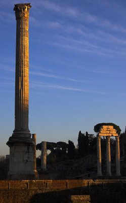Forum