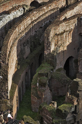 Colosseum