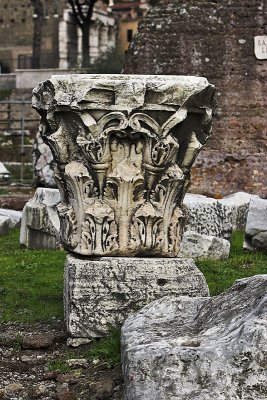 Forum