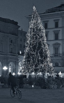 Chrstmas in Florence