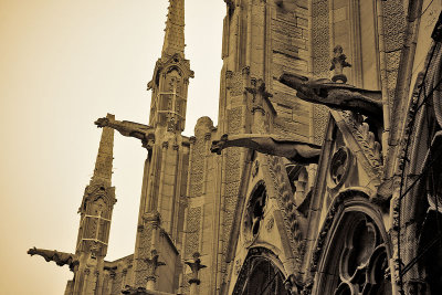 Notre Dame - Exterior 06