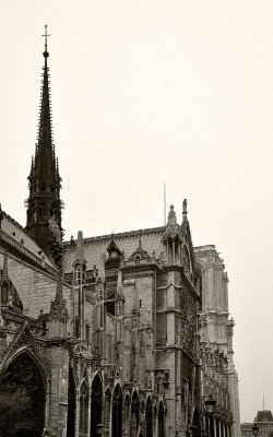 Notre Dame - Exterior 10