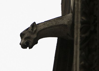 Notre Dame - Exterior 13