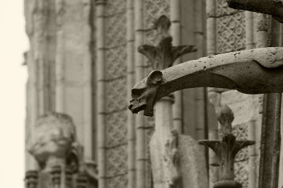 Notre Dame - Exterior 14