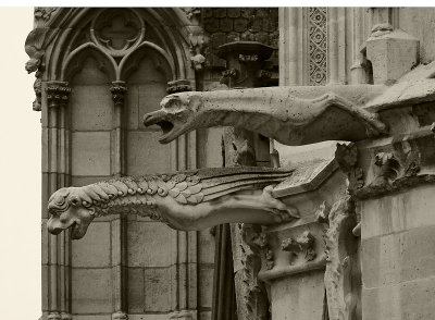 Notre Dame - Exterior 15