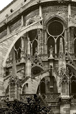 Notre Dame - Exterior 19