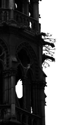 Notre Dame - Exterior 21